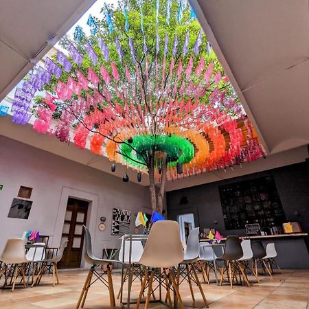 Bkl Hotel Oaxaca Eksteriør billede
