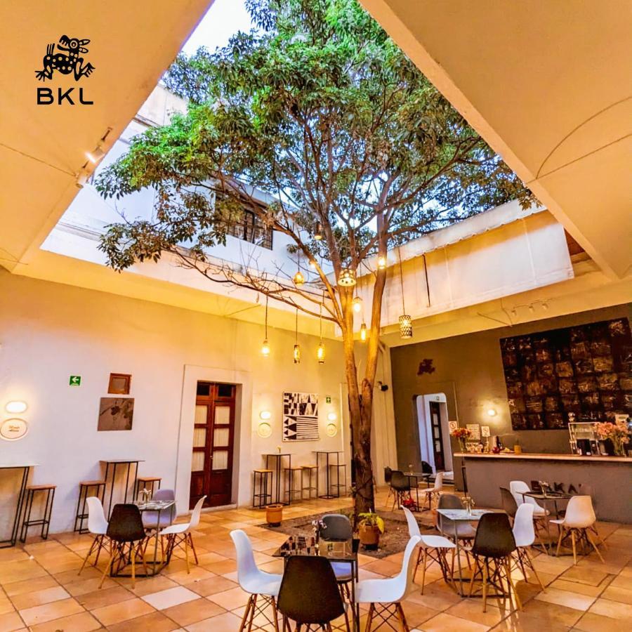 Bkl Hotel Oaxaca Eksteriør billede