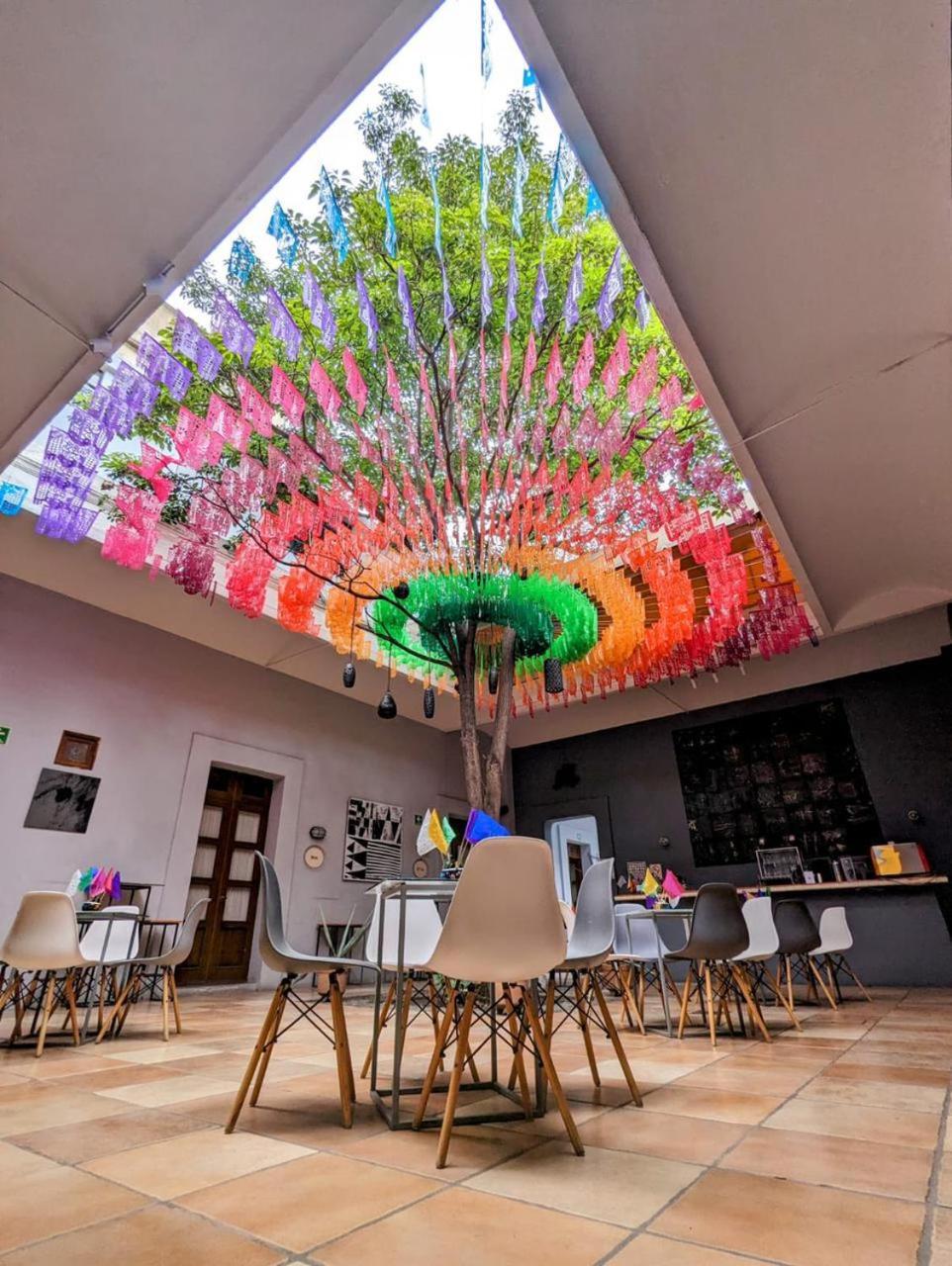 Bkl Hotel Oaxaca Eksteriør billede